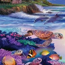 Оригинал схемы вышивки «Turtle Cove» (№2233715)