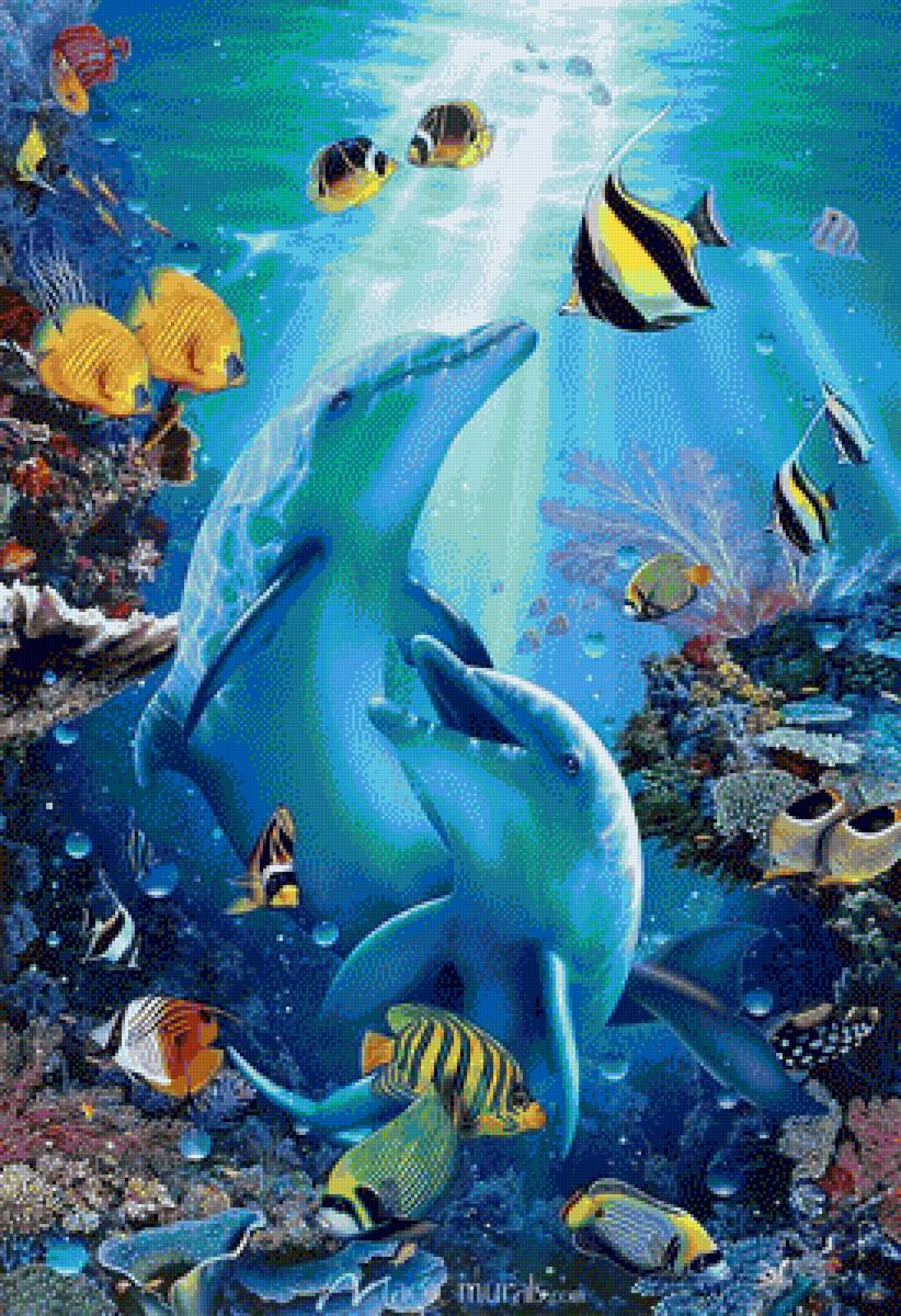 Kiss in the Sea - dolphins - предпросмотр