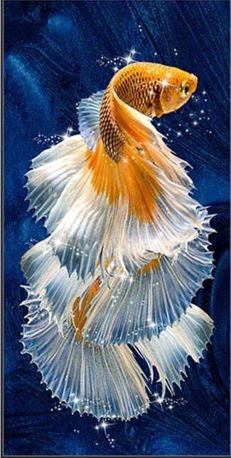 Gold Betta Fish - fish - оригинал