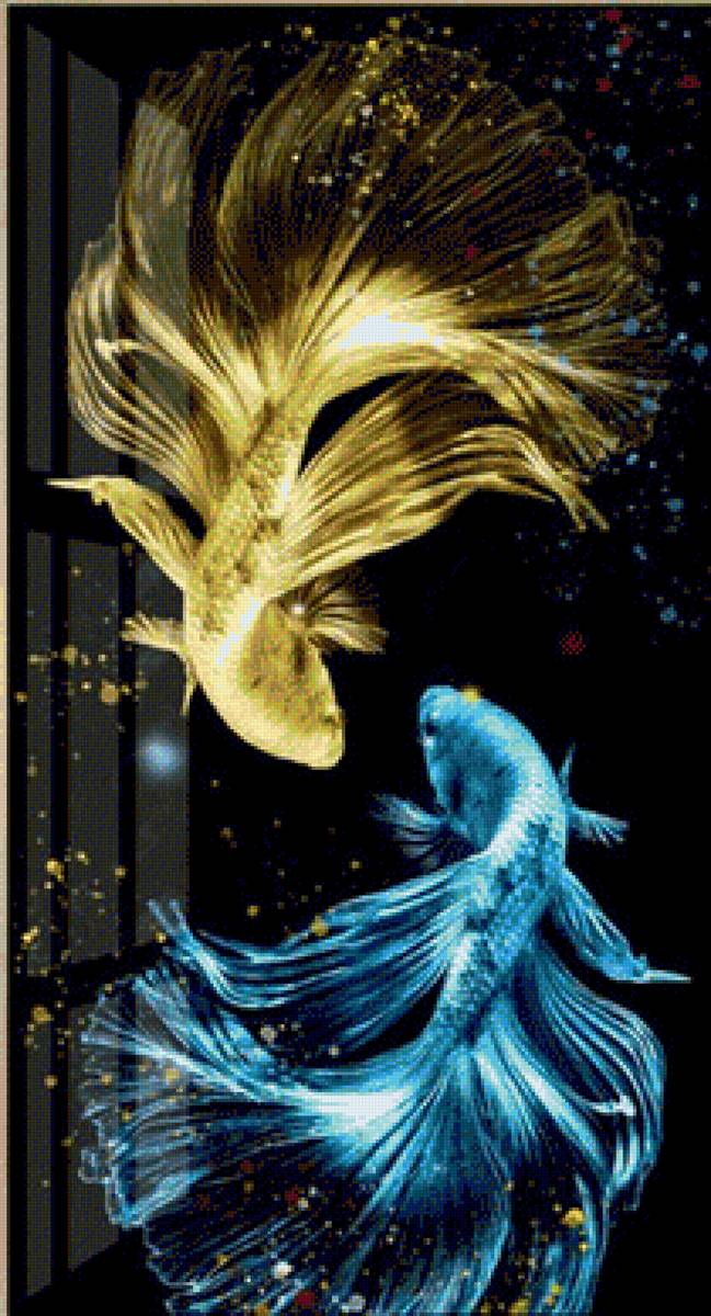 Betta Fish - fish - предпросмотр