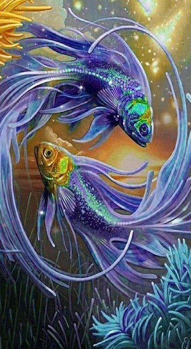 Betta Fish - fish - оригинал