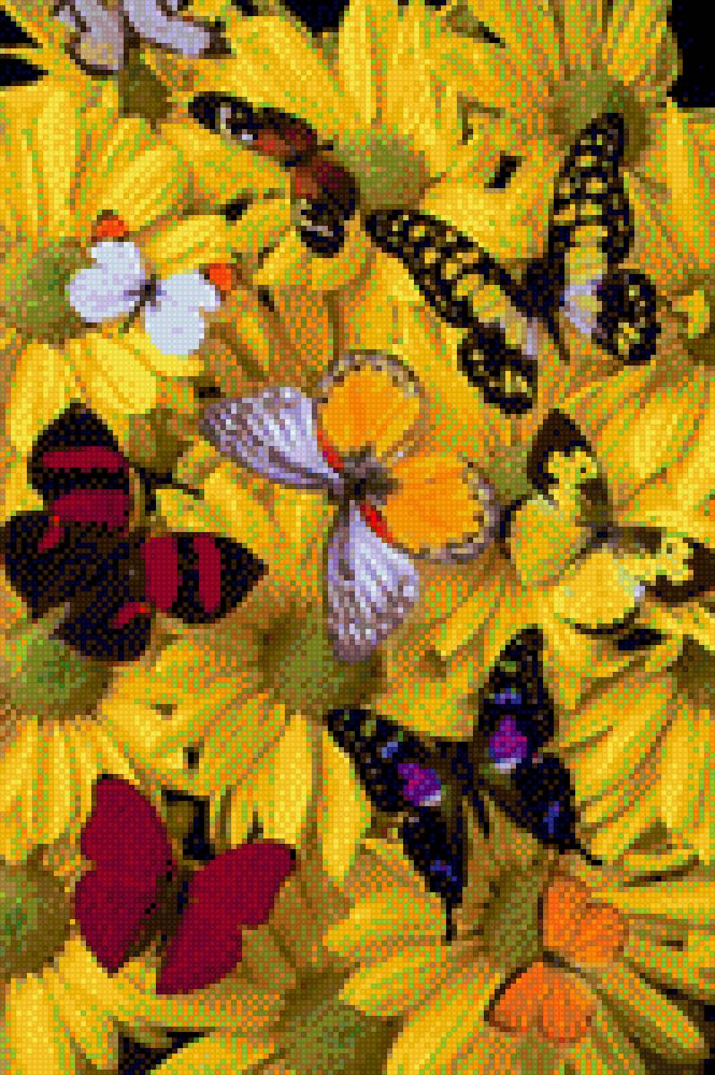 Flower and Butterflies - butterflies, flowers - предпросмотр