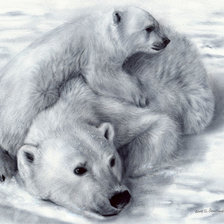 Схема вышивки «Белые мишки»