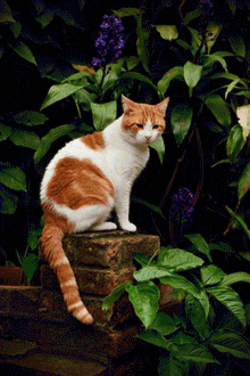 Кот на прогулке - природа, кот, животное - предпросмотр