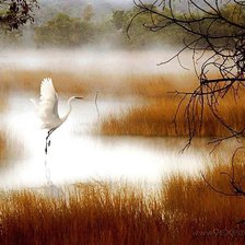 Схема вышивки «№2234972»