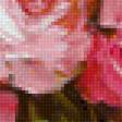 Предпросмотр схемы вышивки «rosas» (№2235196)