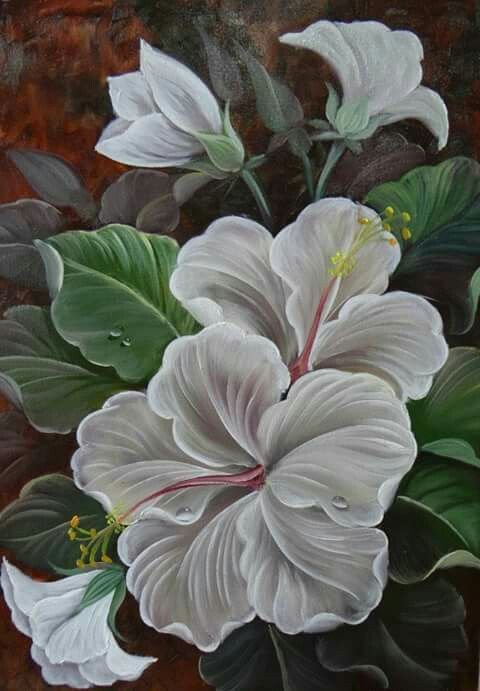 Flores hibiscos brancos. - flores. - оригинал