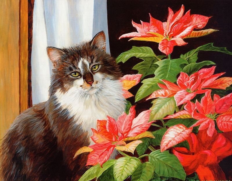 Gato. - flores.animais - оригинал