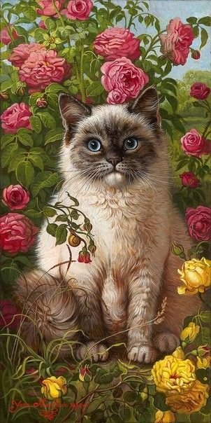 Котик в розах - розы, котик, животные, цветы, растения - оригинал