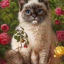 Котик в розах