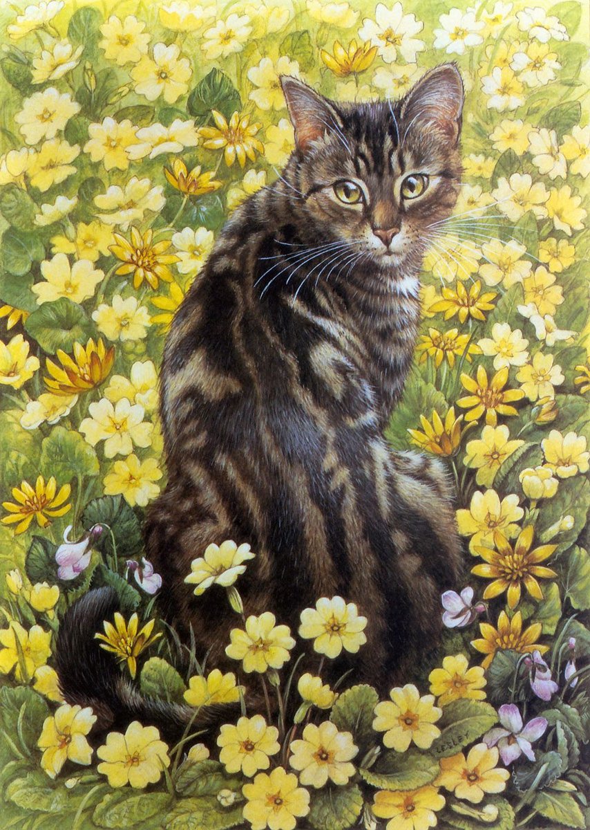Кошка в желтых цветах - кошка, растения, цветы, животные - оригинал