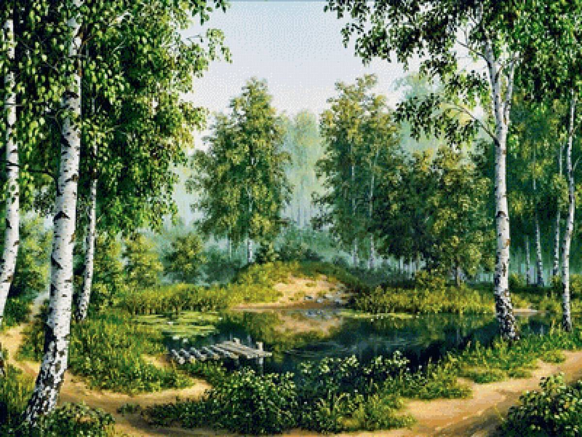 Березы - береза, природа - предпросмотр