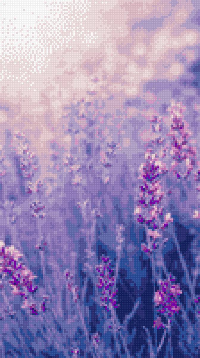 Лаванда - лаванда, трава, сиреневые цветы, поле - предпросмотр