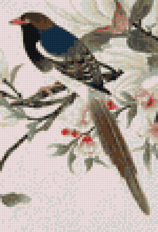 Птица - птица - предпросмотр