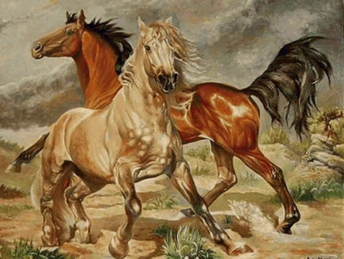 Cavalos. - animais. - предпросмотр