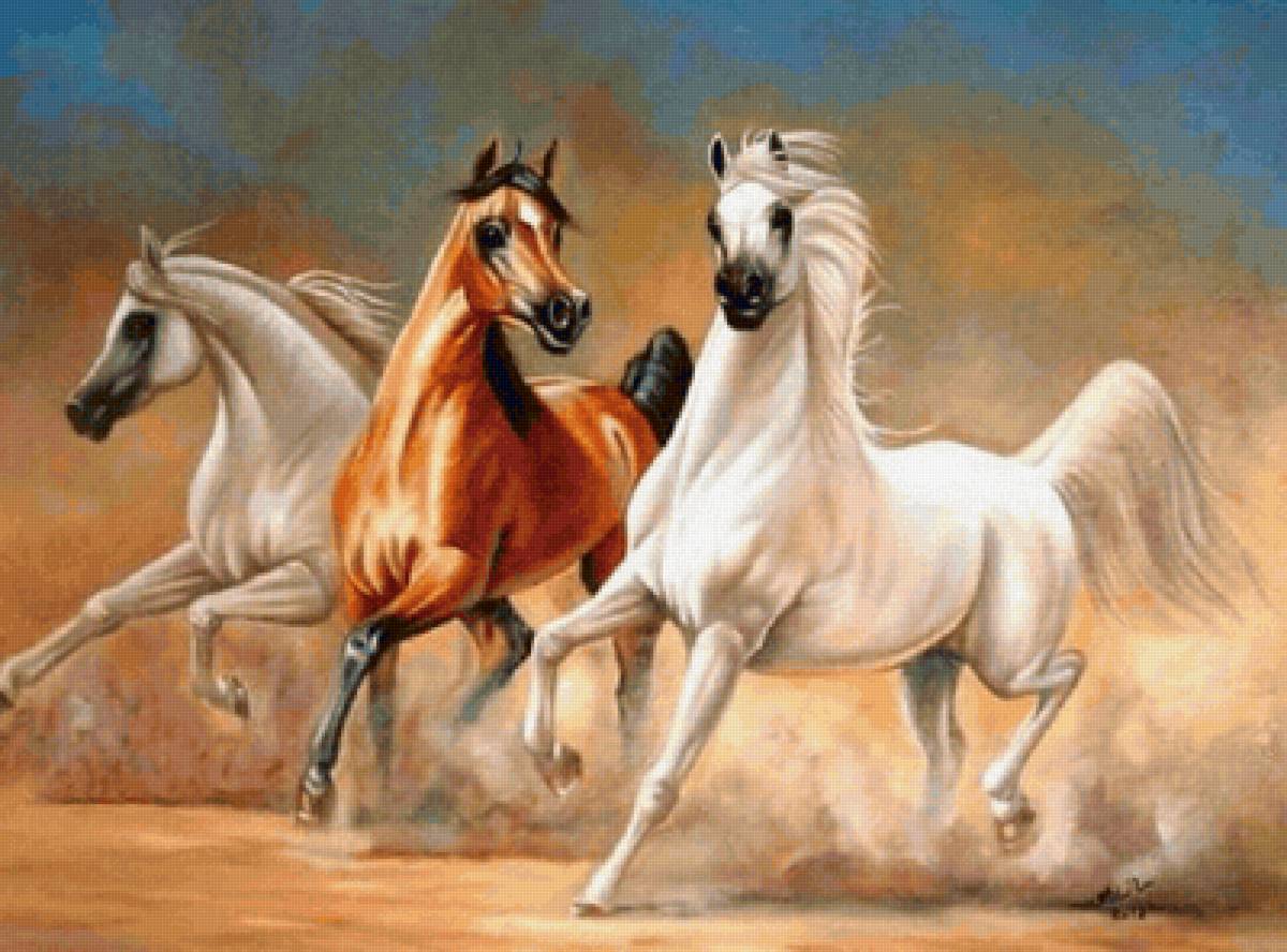 Cavalos puro sangue Árabe. - animais. - предпросмотр