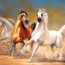 Схема вышивки «Cavalos puro sangue Árabe.»