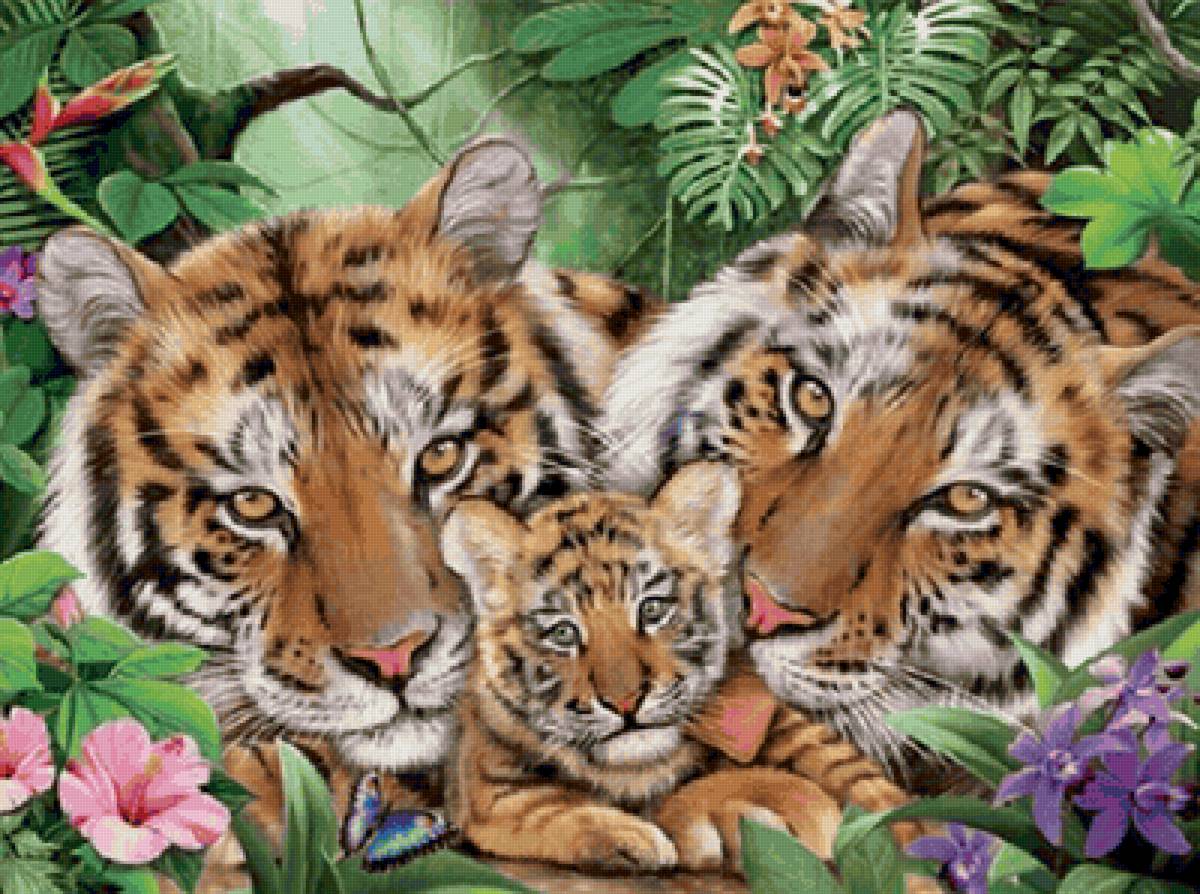 Afamilha de  tigres, - flores.animais, natureza. - предпросмотр