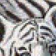 Предпросмотр схемы вышивки «Белый тигр» (№2237740)