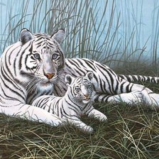 Схема вышивки «Белый тигр»