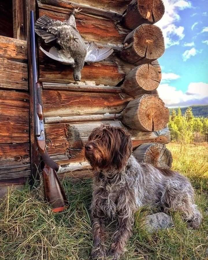 №2238007 - оригинал