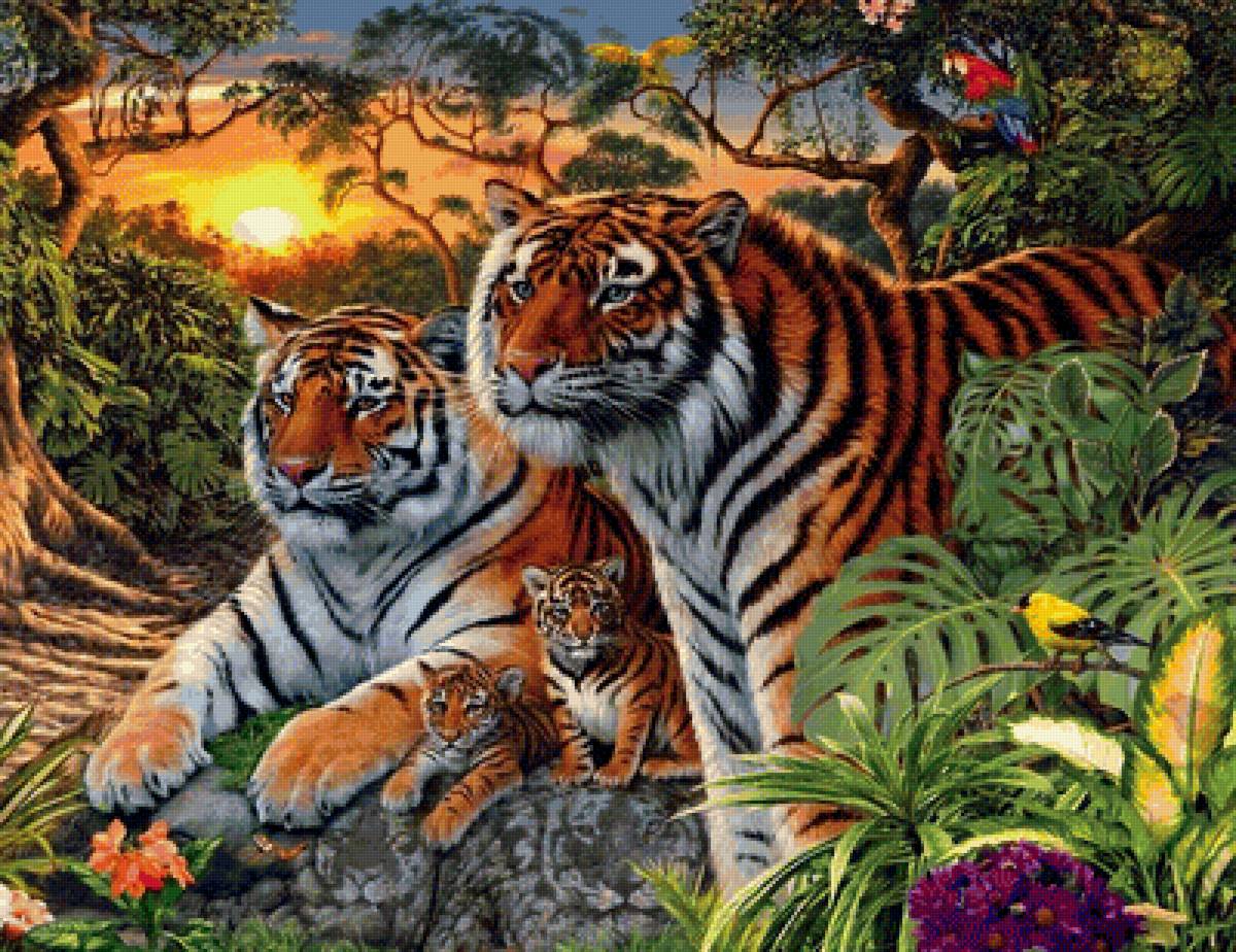 Тигры - животные - предпросмотр