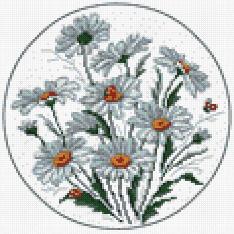 Серия цветы. Ромашки - цветок, ромашка - предпросмотр