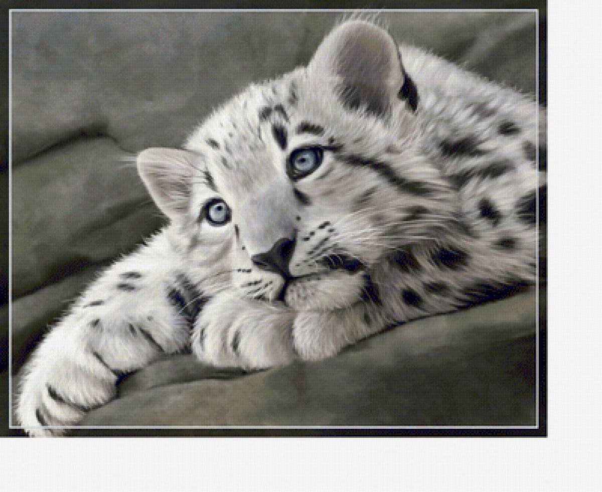 №2239021 - животные, хищники - предпросмотр