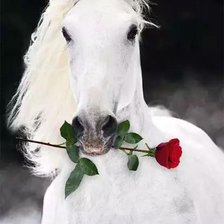 Схема вышивки «Конь и роза»