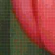 Предпросмотр схемы вышивки «tulipanes» (№2239287)