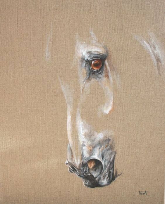 horse 5 - оригинал