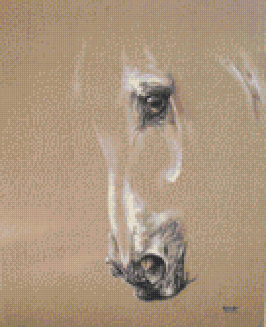 horse 5 - предпросмотр