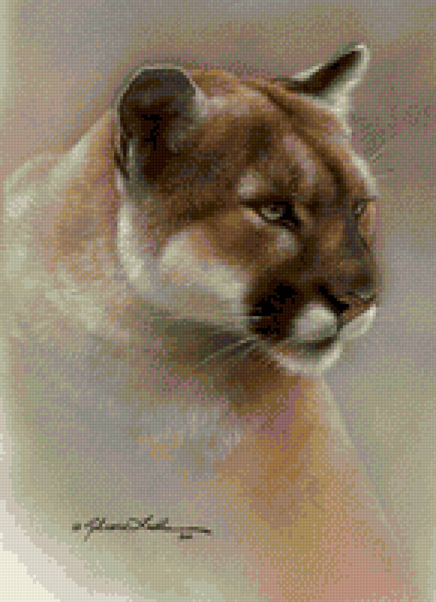 кошки - животные - предпросмотр