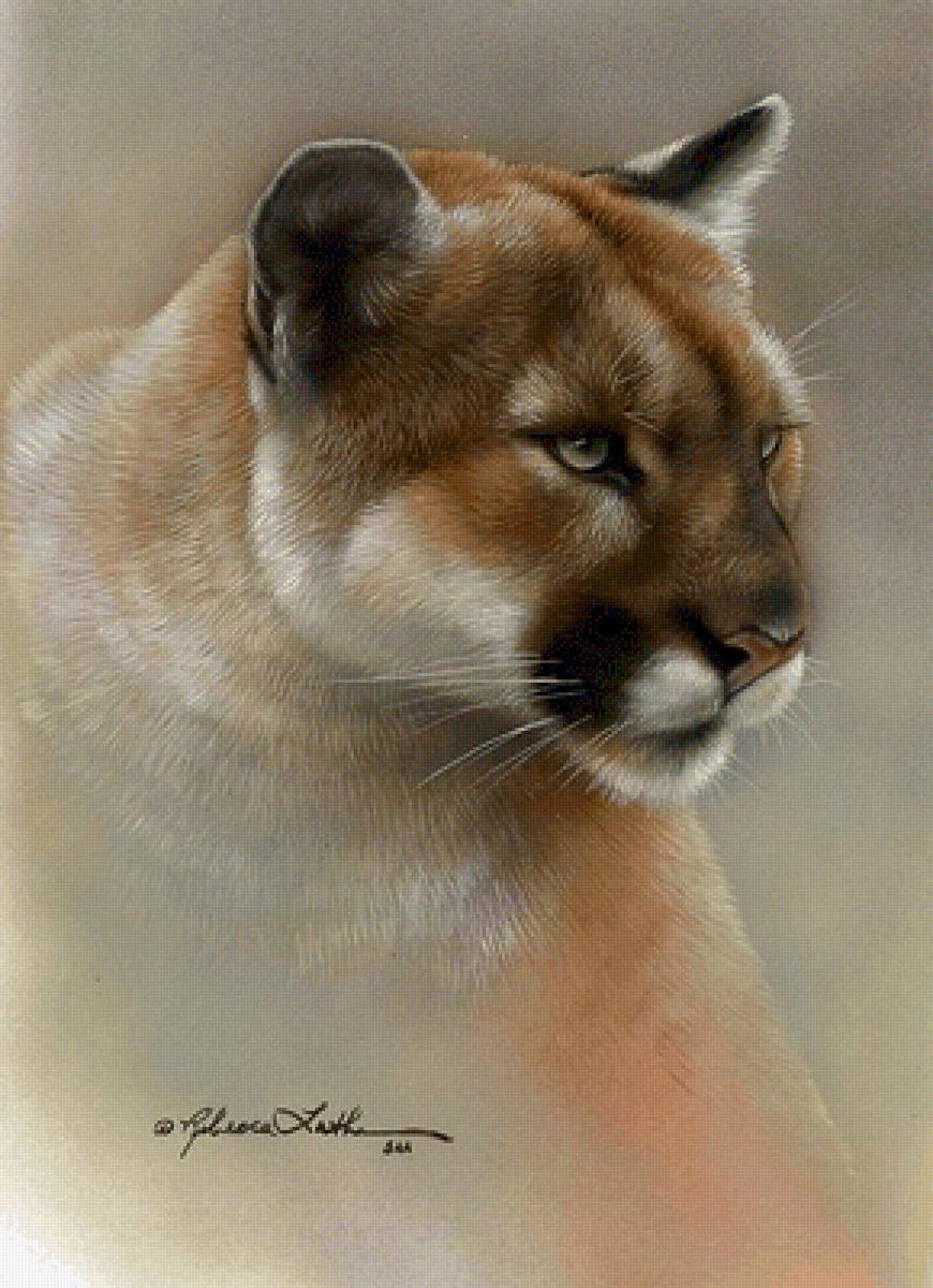 пума - картина - предпросмотр