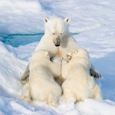 Схема вышивки «Мать и дети»