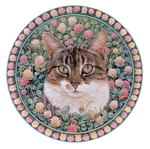 Котик - цветы, иллюстрация, котик, кошка - оригинал