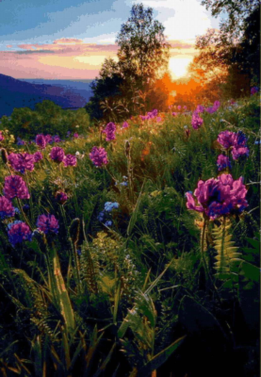 сиреневый закат - цветы, природа, закат - предпросмотр