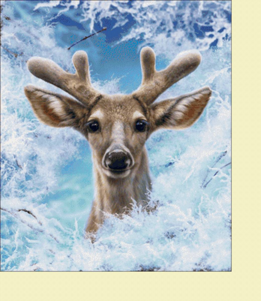 №2239811 - животные, зима, олени, снег - предпросмотр