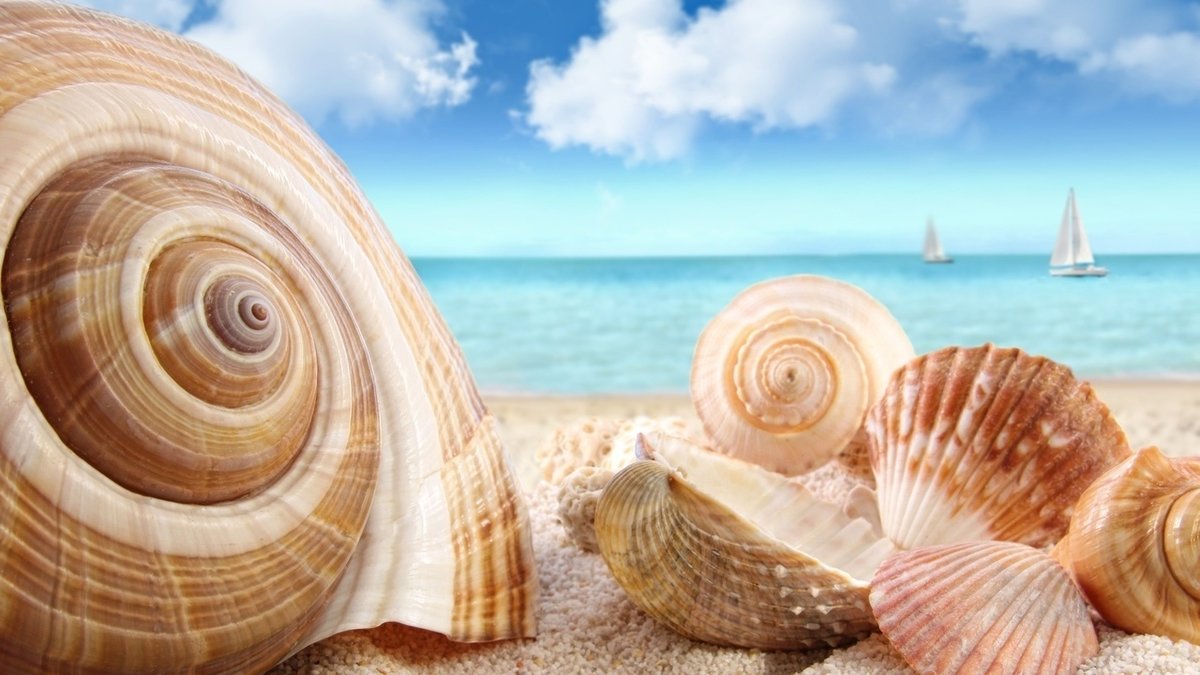 №2239960 - оригинал