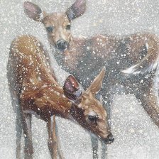 Схема вышивки «олени зимой»