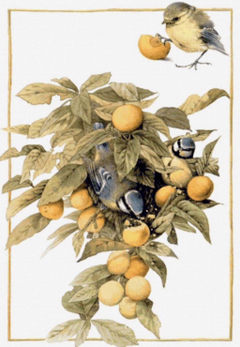 Branch - предпросмотр