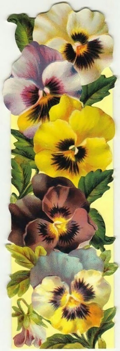 АНЮТИНЫ ГЛАЗКИ - цветы - оригинал