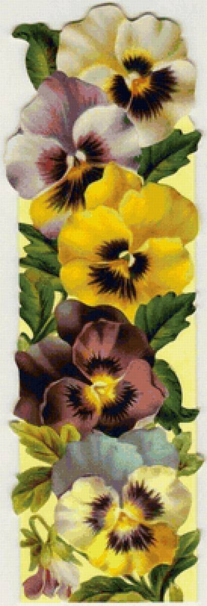 АНЮТИНЫ ГЛАЗКИ - цветы - предпросмотр