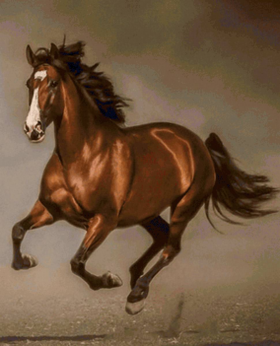 №2240882 - предпросмотр