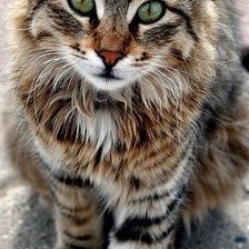 Схема вышивки «друзья»