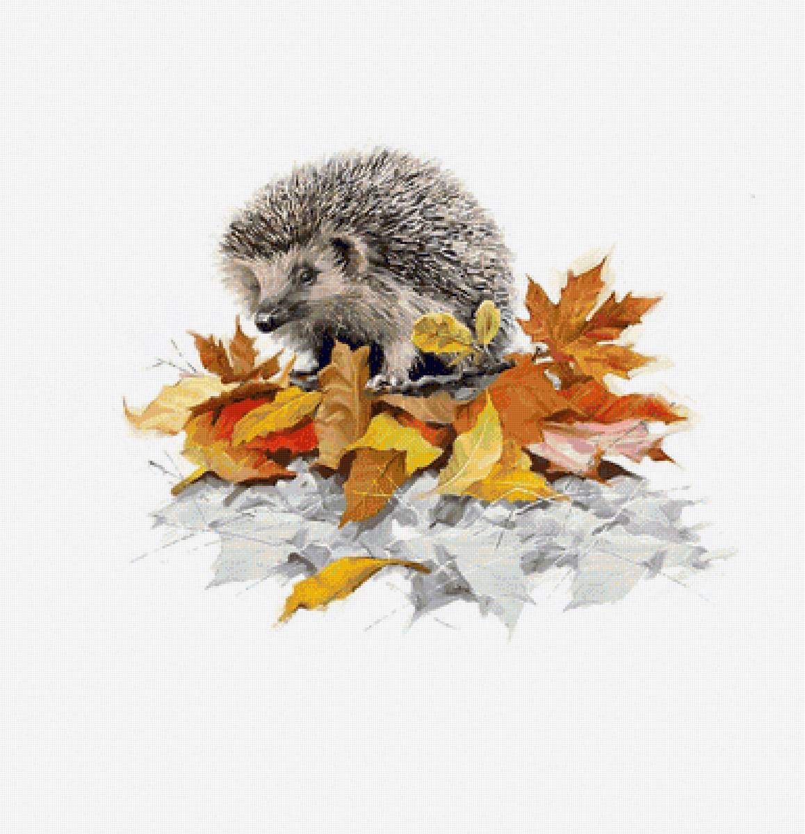 №2241442 - ежик - предпросмотр