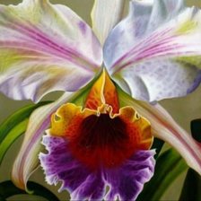 Схема вышивки «Flor»