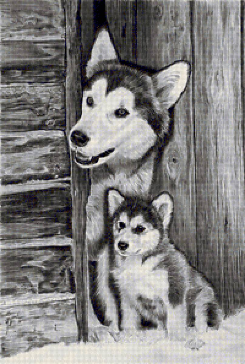 Монохром - собака, монохром - предпросмотр