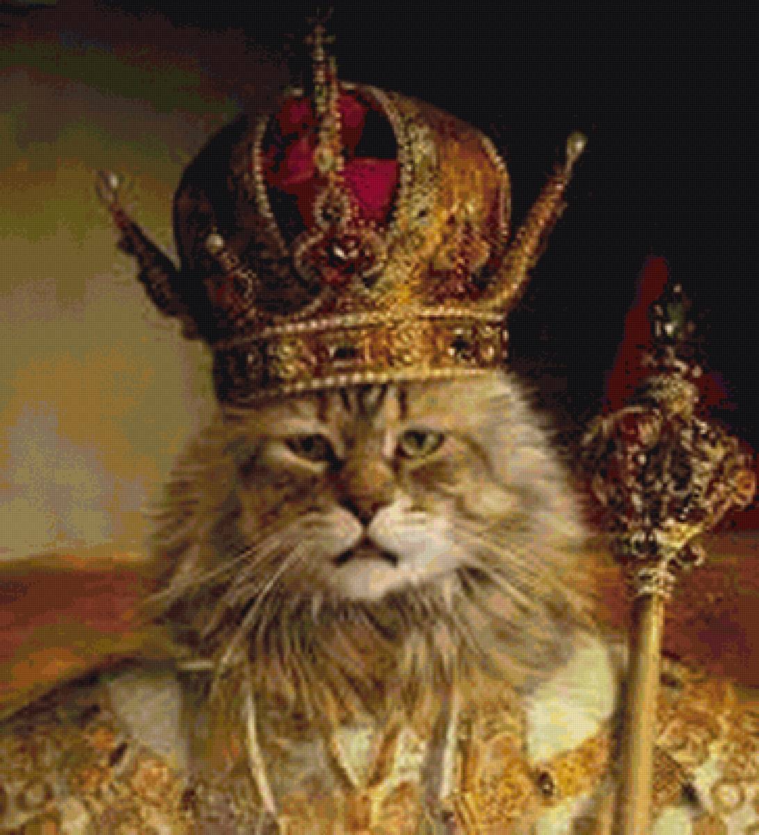 царь - кот, животные - предпросмотр