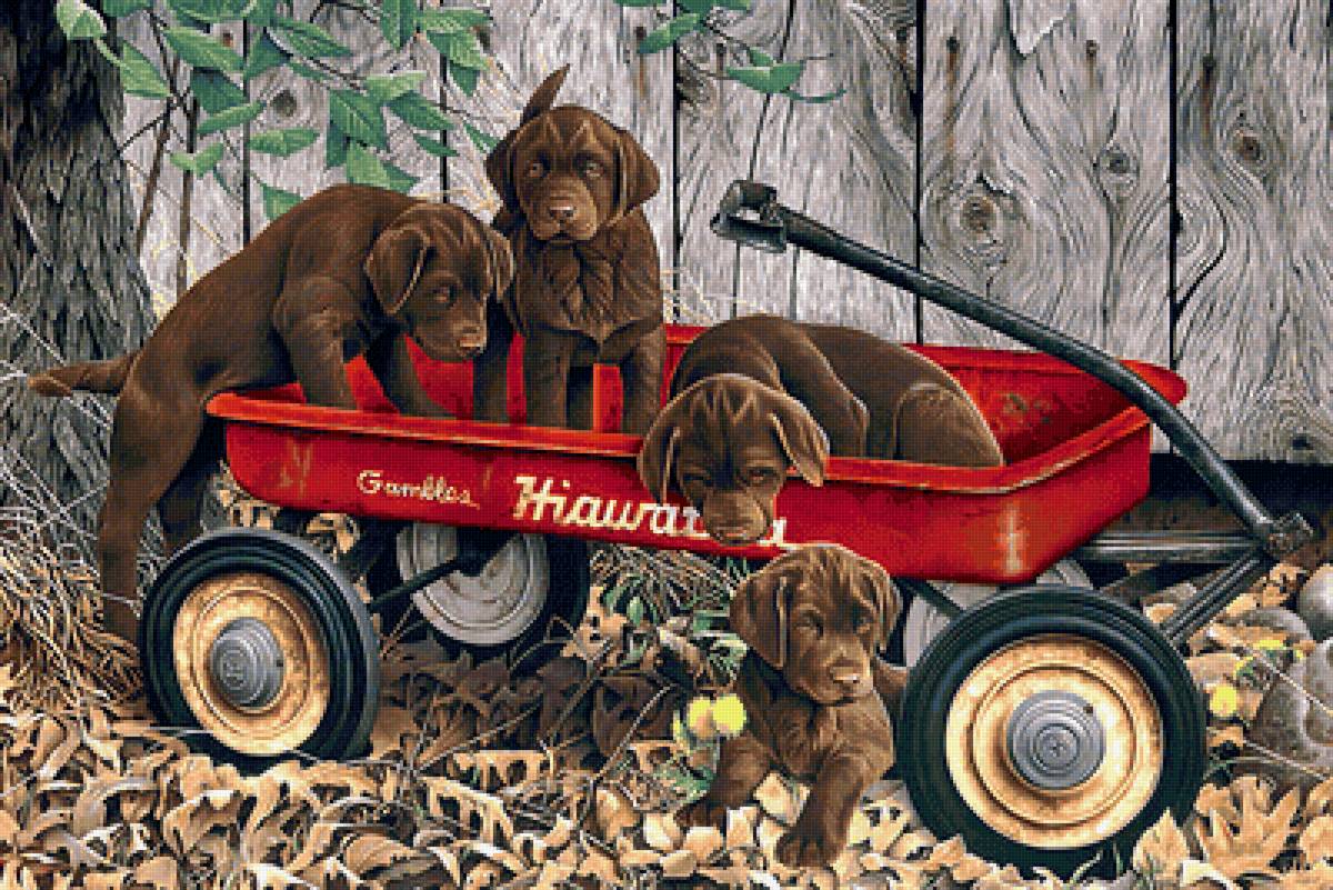 Путешественники) - осень, щенок, собаки - предпросмотр